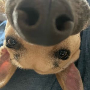 Meet your Posher, Joseph